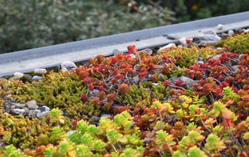 the cost of Bradwell On Sea green roof installation